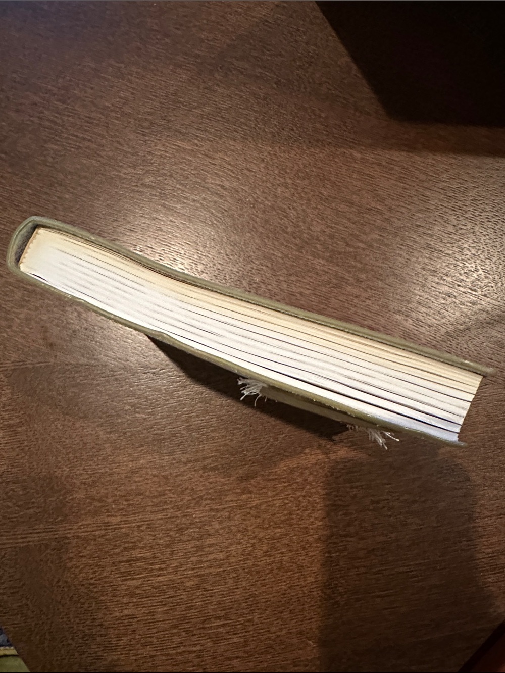 Anthropologie Holographic Leather Sketchbook/Notebook - Picture 5 of 5